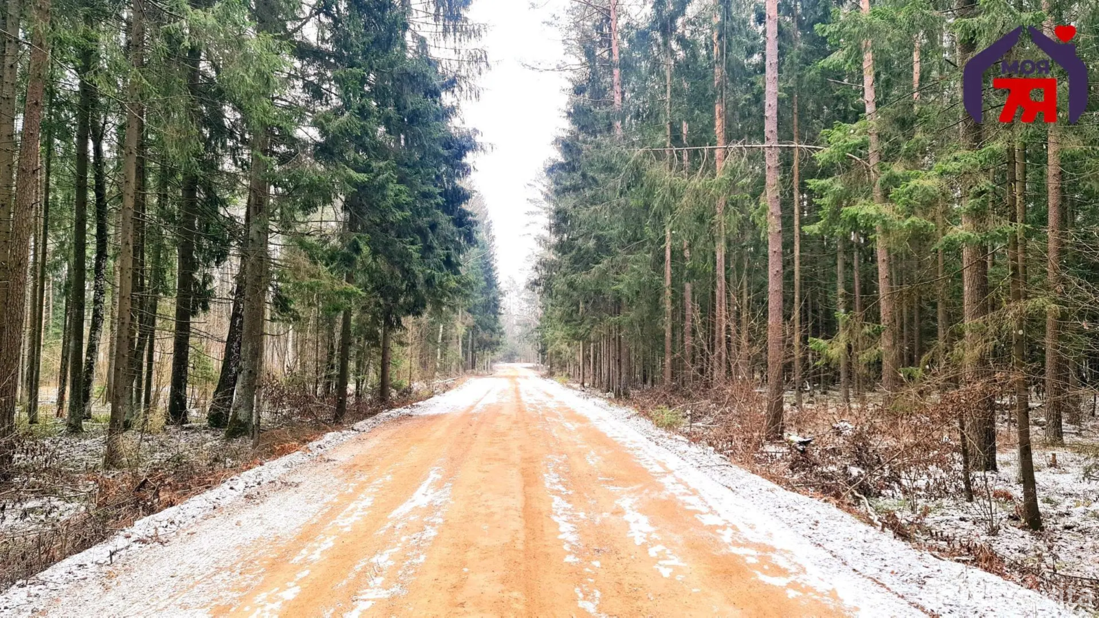 Купить земельный участок, 6 соток, Верас-Калибр, Минская область, 6500USD, код 569967 - фото 21