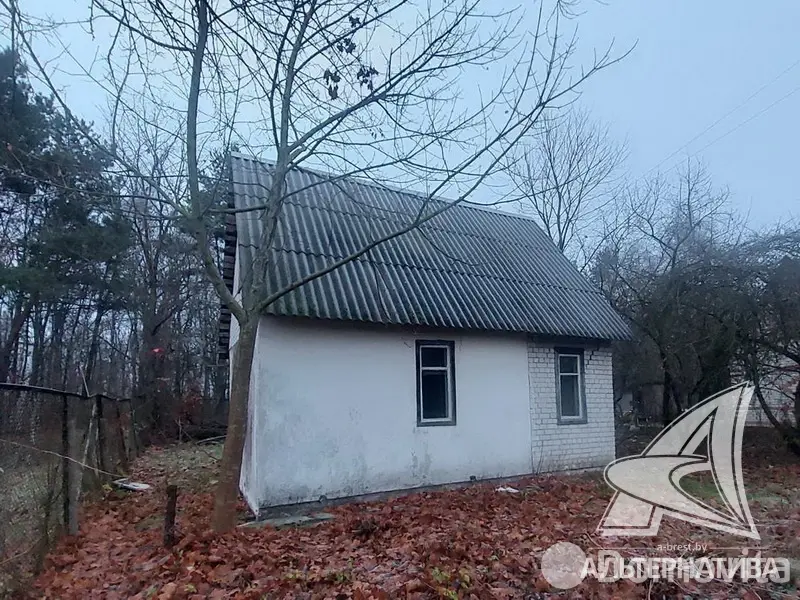 Продажа 1-этажной дачи в Лесная поляна Брестская область, 10000USD, код 184584 - фото 11