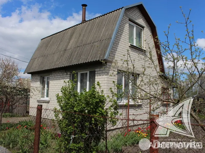 дача, Суница-80, 