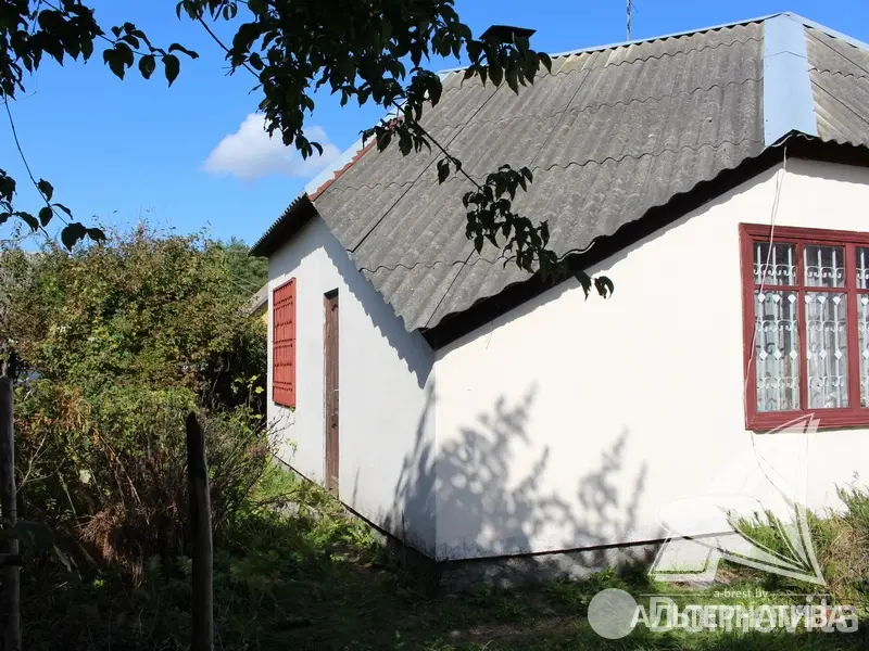 Купить 1-этажную дачу в Заречное-2008 Брестская область, 16000USD, код 180716 - фото 16