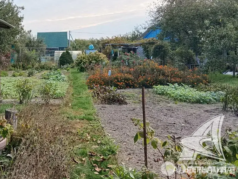 Купить 1-этажную дачу в Тепличка Брестская область, 10500USD, код 184261 - фото 11