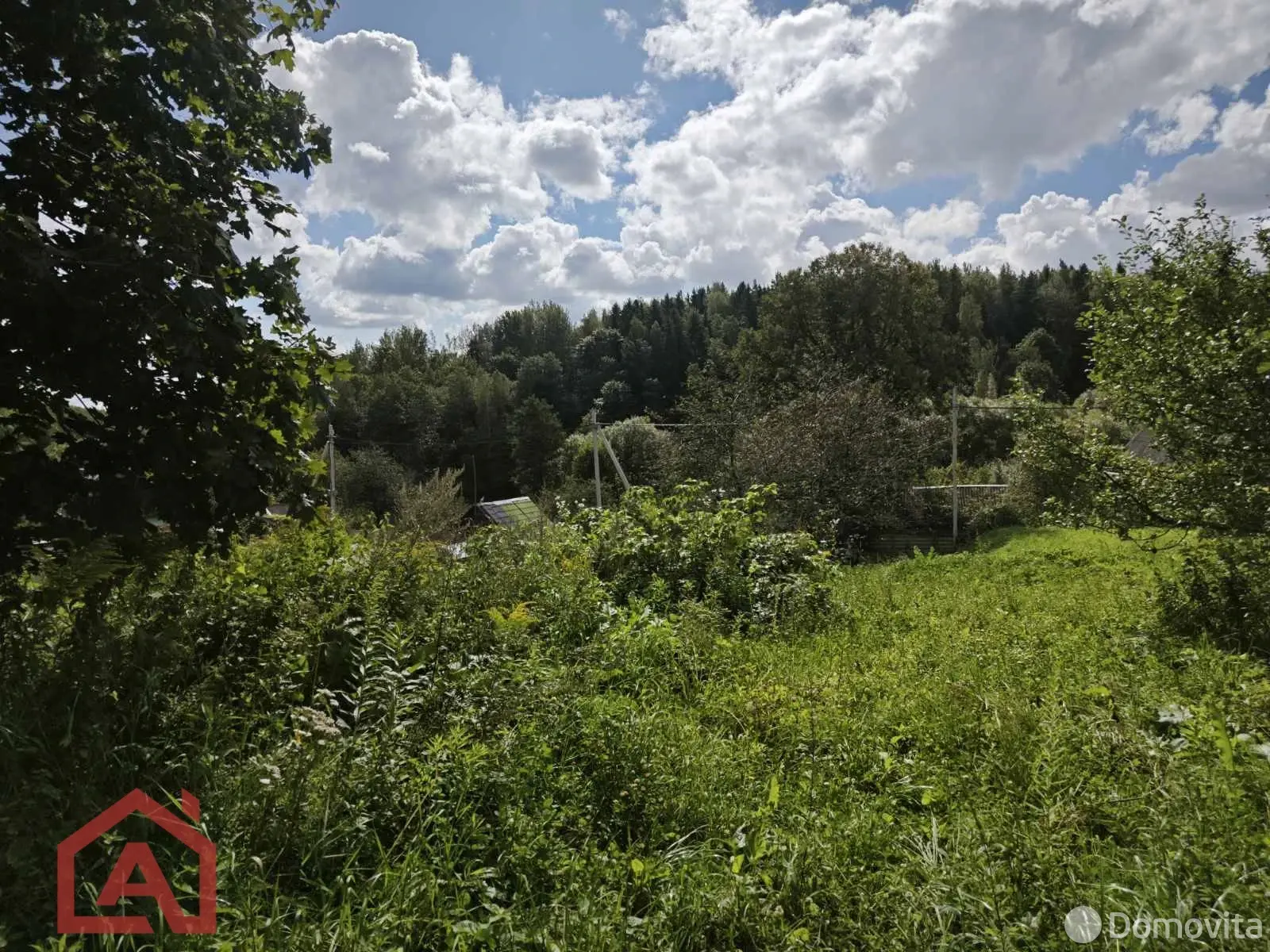 участок, Мончаки, ул. Центральная, д. 39 