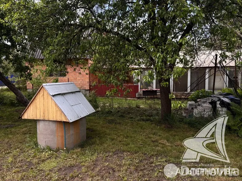участок, Урожай ОАО Брестхлебопродукт, 