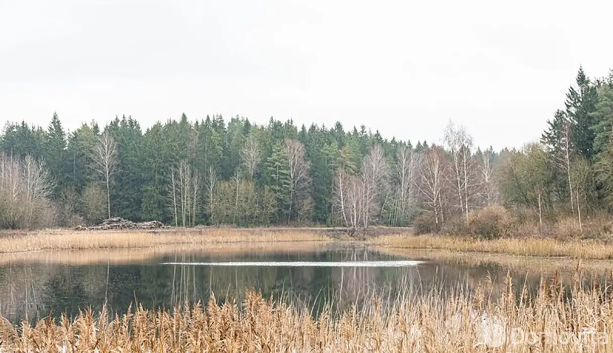 коттедж, Ружамполь,