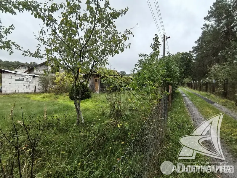 участок, Урожай ОАО Брестхлебопродукт, 