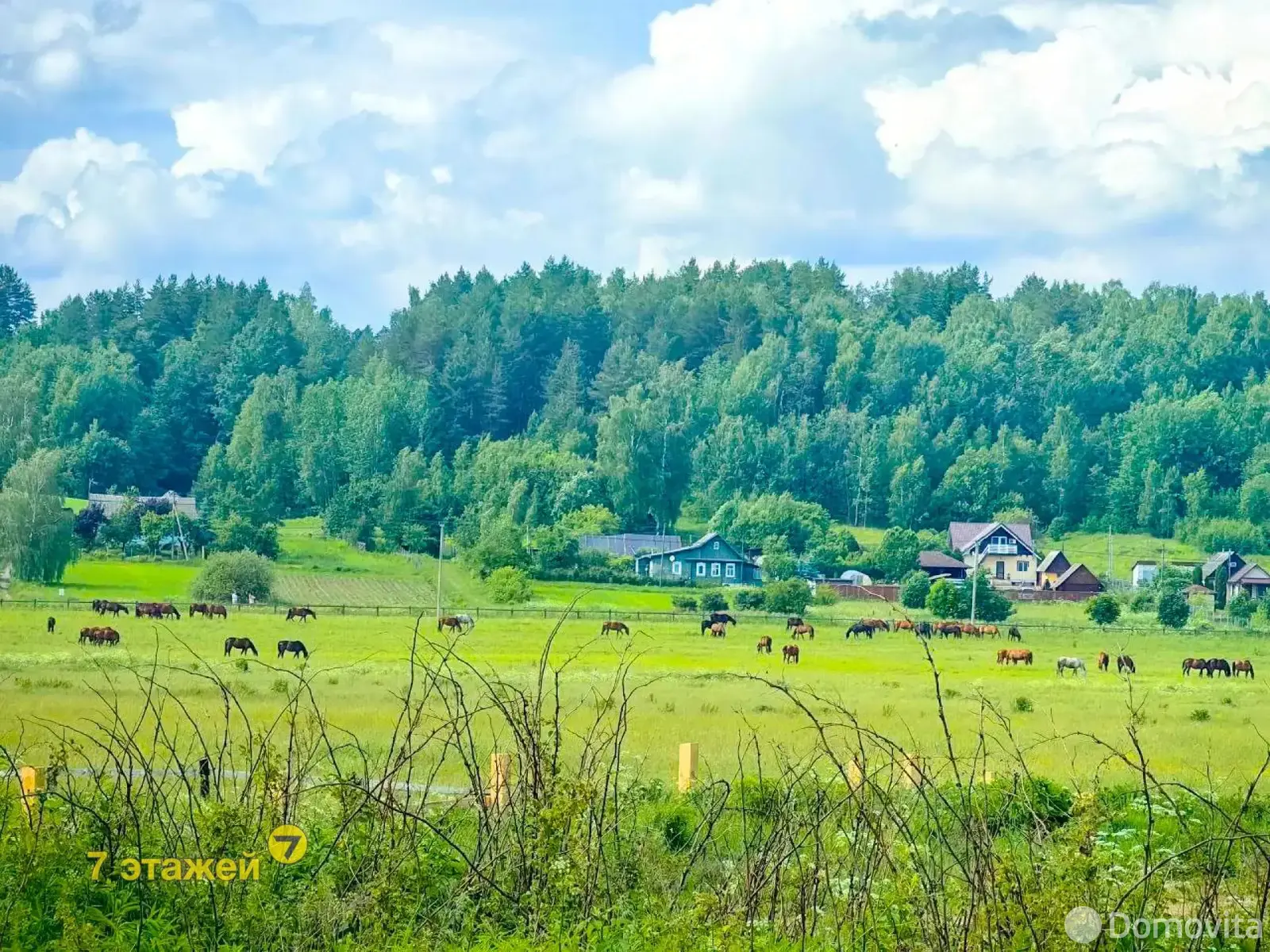 коттедж, Ляховщина, - лучшее предложение