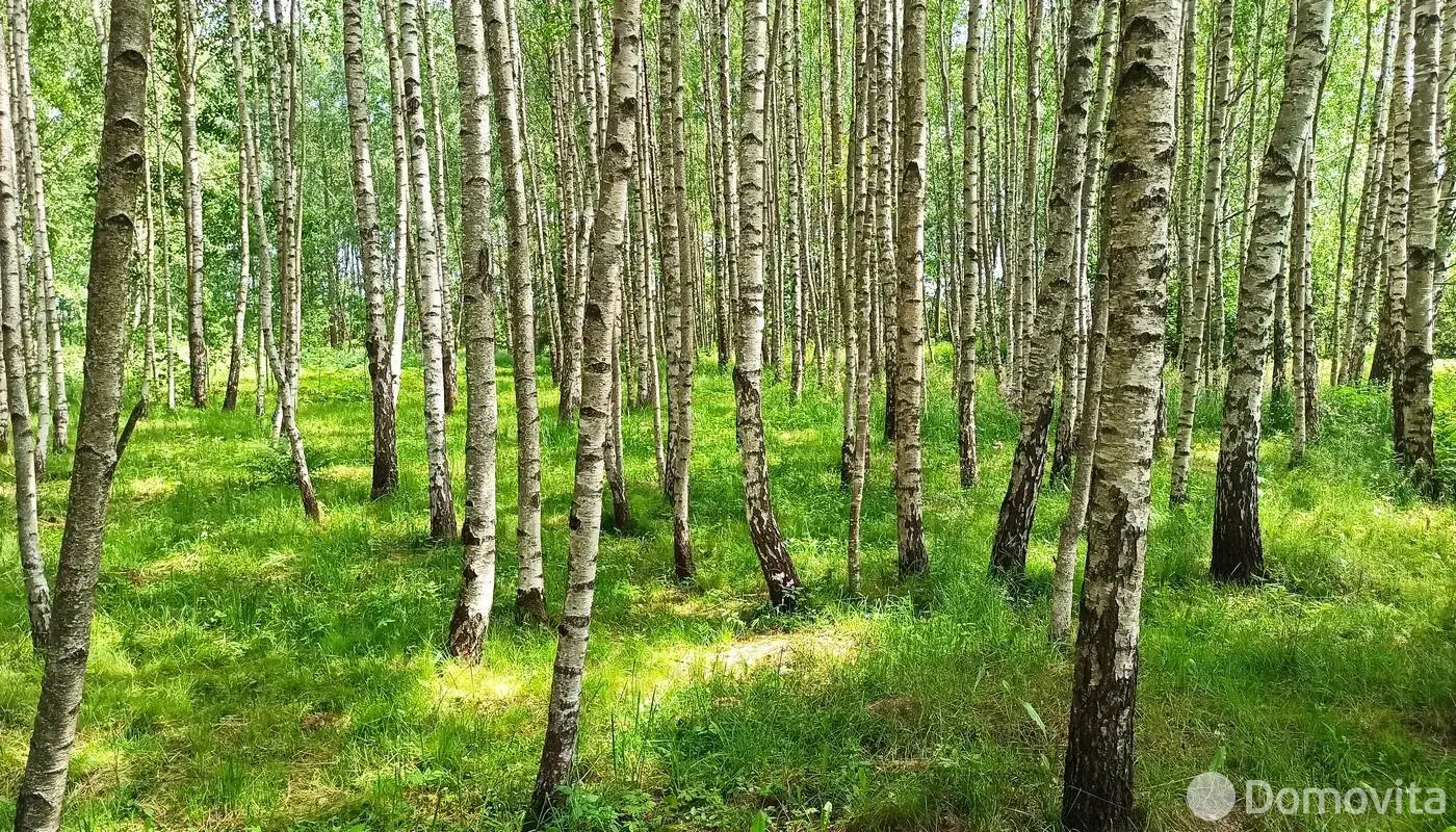 Купить помещение под сферу услуг в Шараи, - фото 41