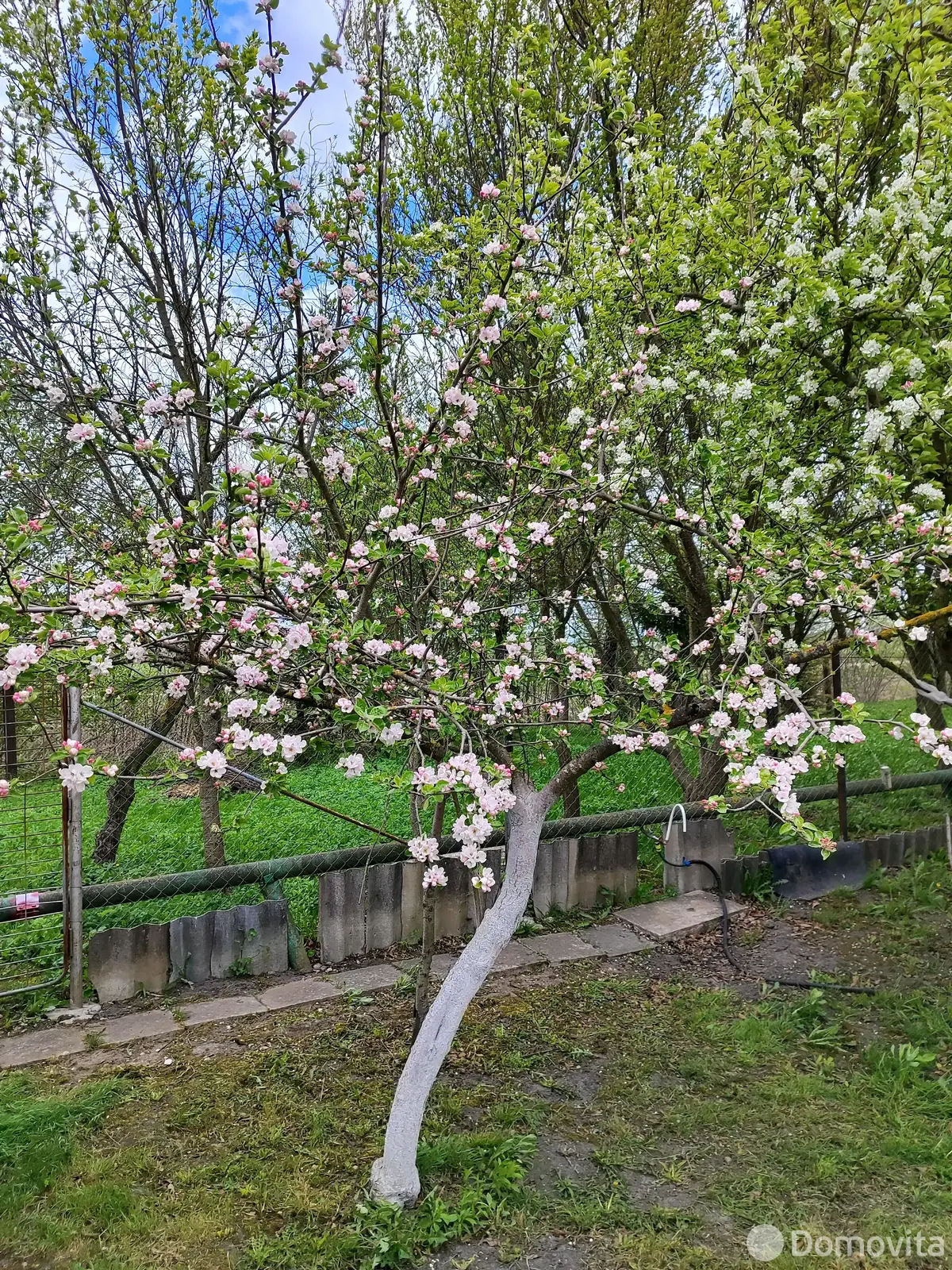 Купить 1-этажную дачу в Здоровье-95 Минская область, 12000USD, код 182592 - фото 14