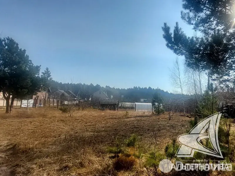 участок, Алеся-50, , стоимость продажи 41 016 р.