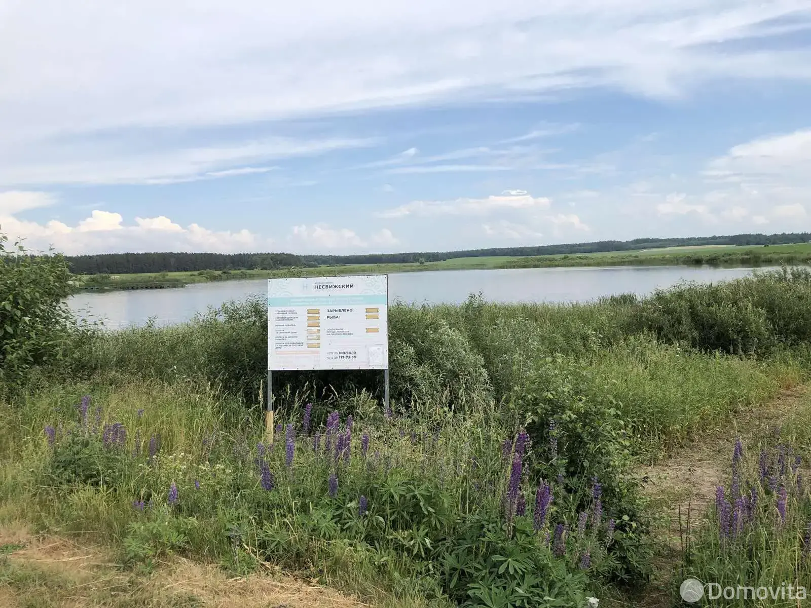 купить дом, Амлынцы, ул. Озёрная