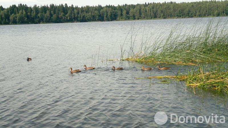 Купить помещение под сферу услуг в Колоднице, ул. Центральная, д. 108 - фото 12