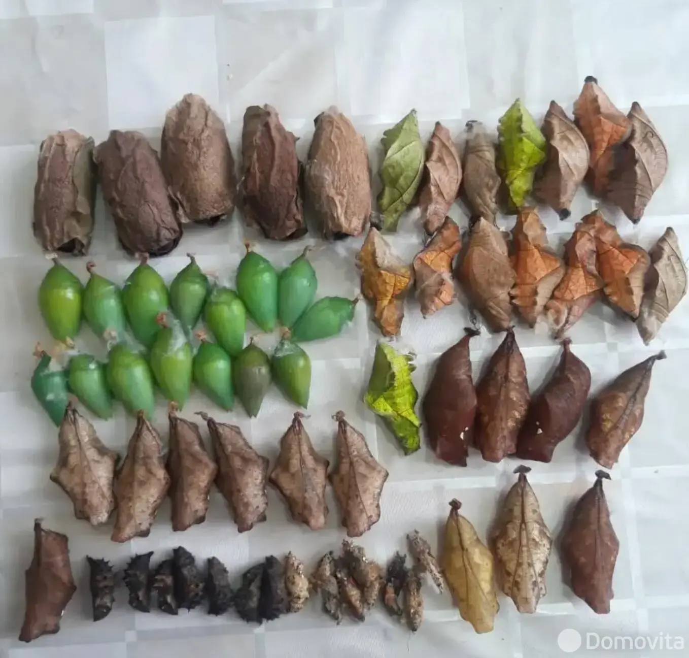 Купить торговое помещение на ул. Кирилла Туровского, д. 16 в Минске, 190000USD, код 998494 - фото 11