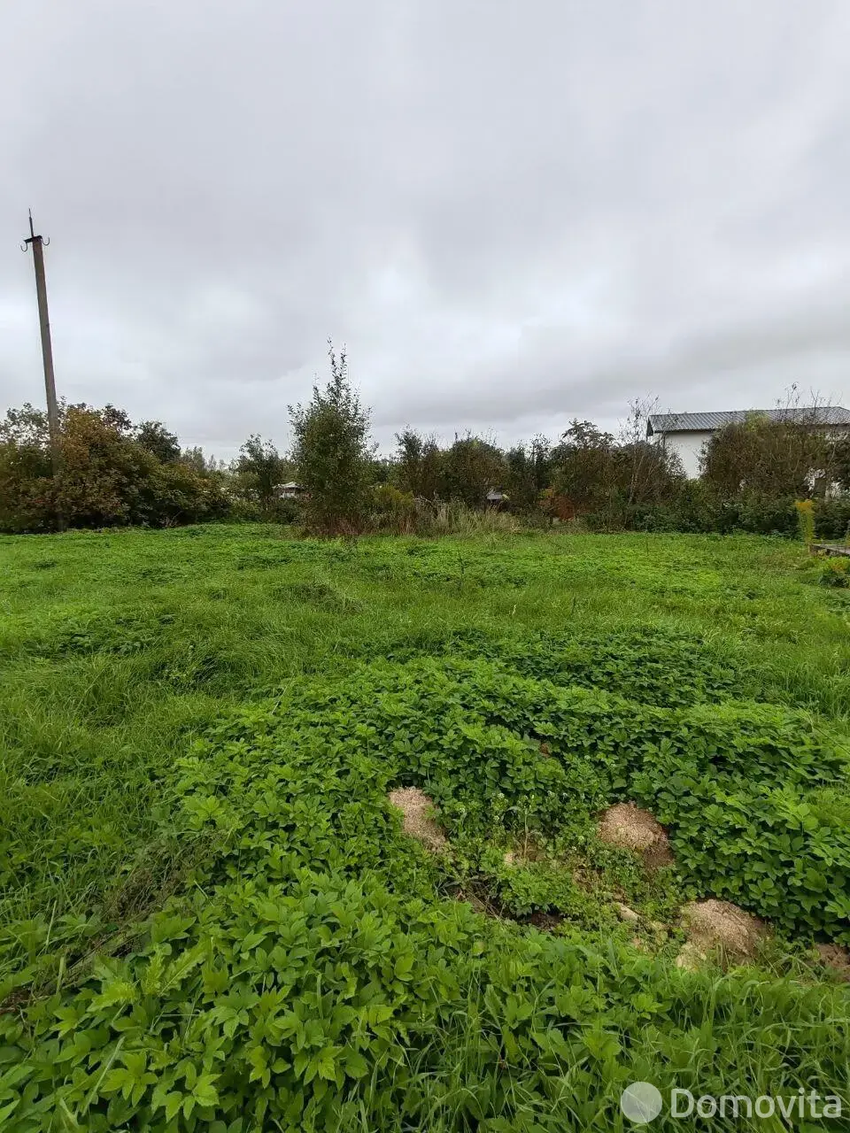 участок, Залесье, 