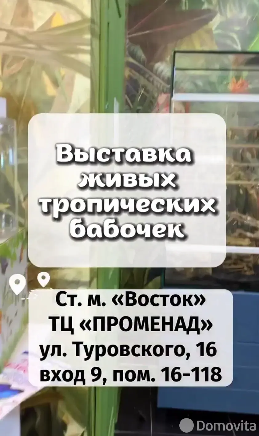 Купить торговую точку на ул. Кирилла Туровского, д. 16 в Минске, 397000BYN, код 999184 - фото 16