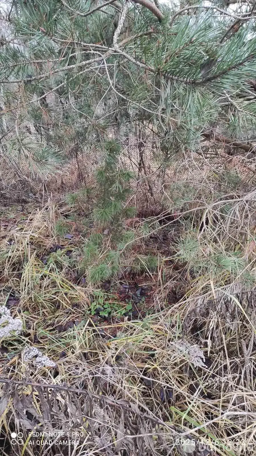 Стоимость продажи дома, Анаполье, ул. Революционная, д. 13