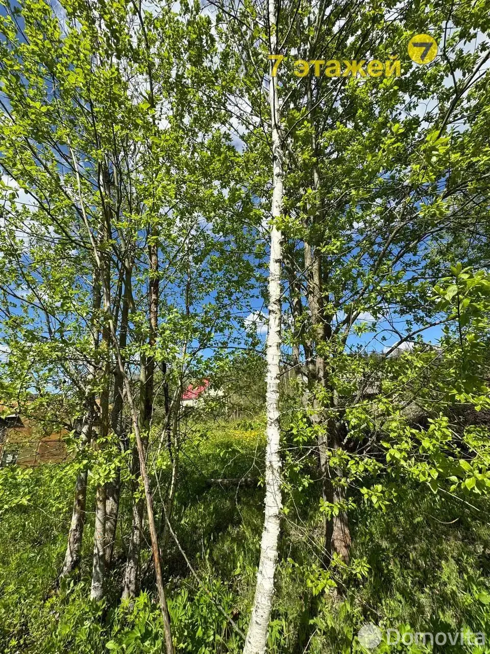Купить земельный участок, 6.15 соток, ПРОЛЕСКА ЦКБ, Минская область, 7800USD, код 570375 - фото 13