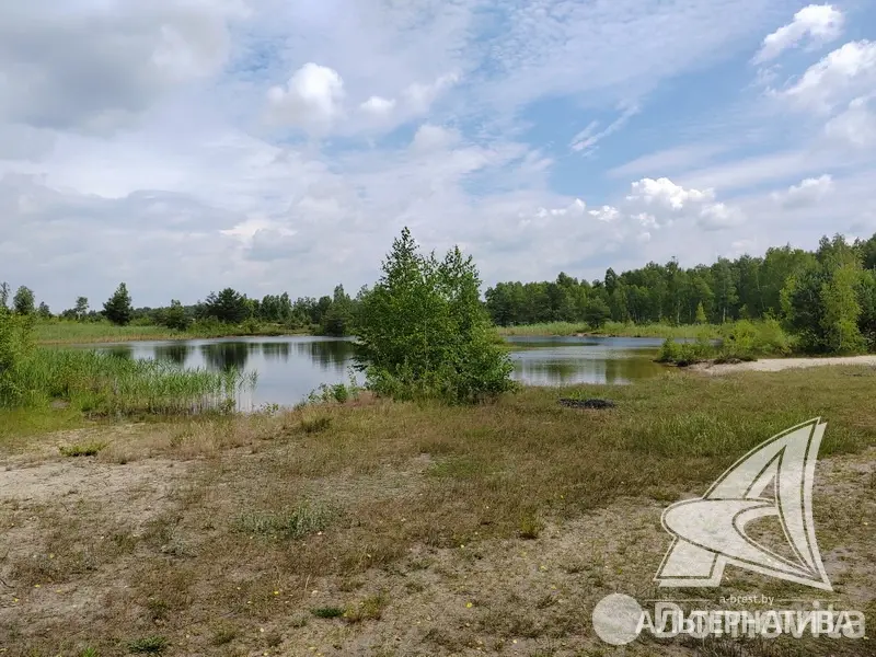 Купить земельный участок, 6.73 соток, Березка, Брестская область, 10900USD, код 570878 - фото 11