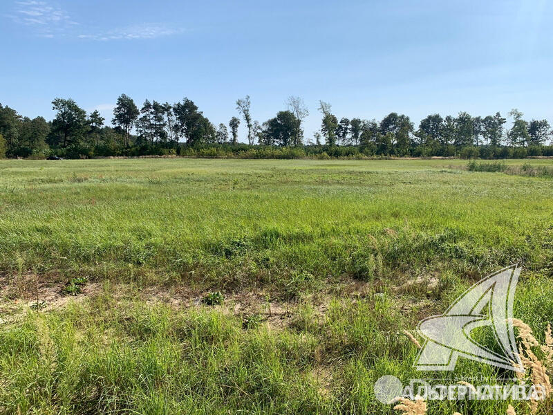 Купить офис в Дружбе, 490000USD, код 6232 - фото 14