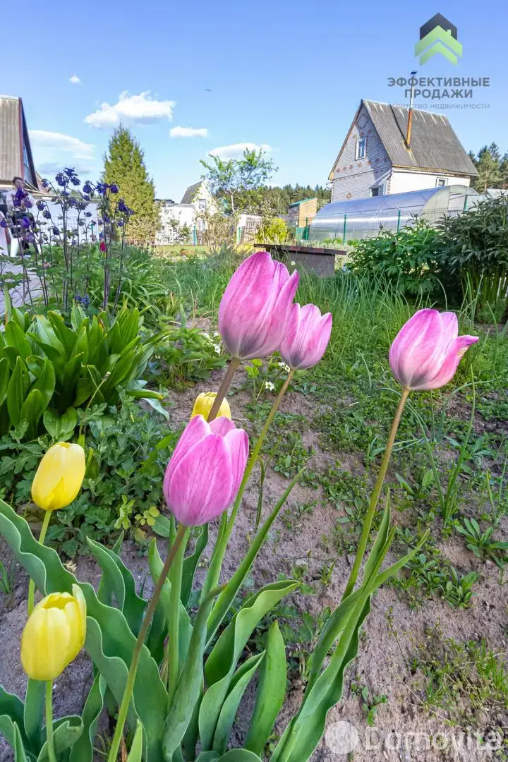 Купить 2-этажную дачу в АЛМАЗ-2002 Минская область, 39900USD, код 184409 - фото 22