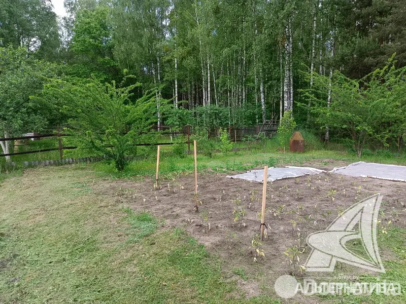 Купить земельный участок, 6.97 соток, Журавинка-83, Брестская область, 11500USD, код 570456 - фото 13