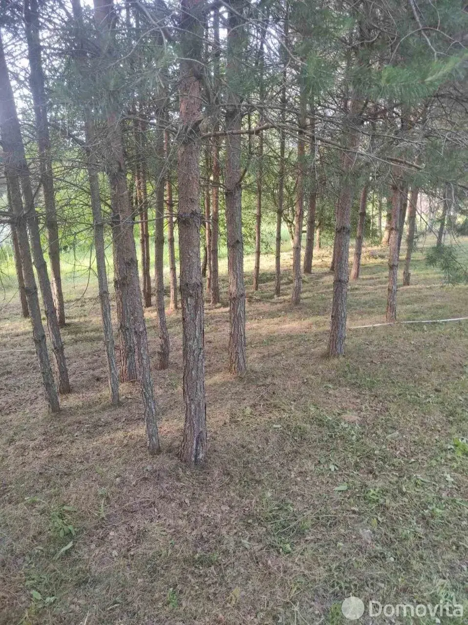 участок, Михалковичи, 