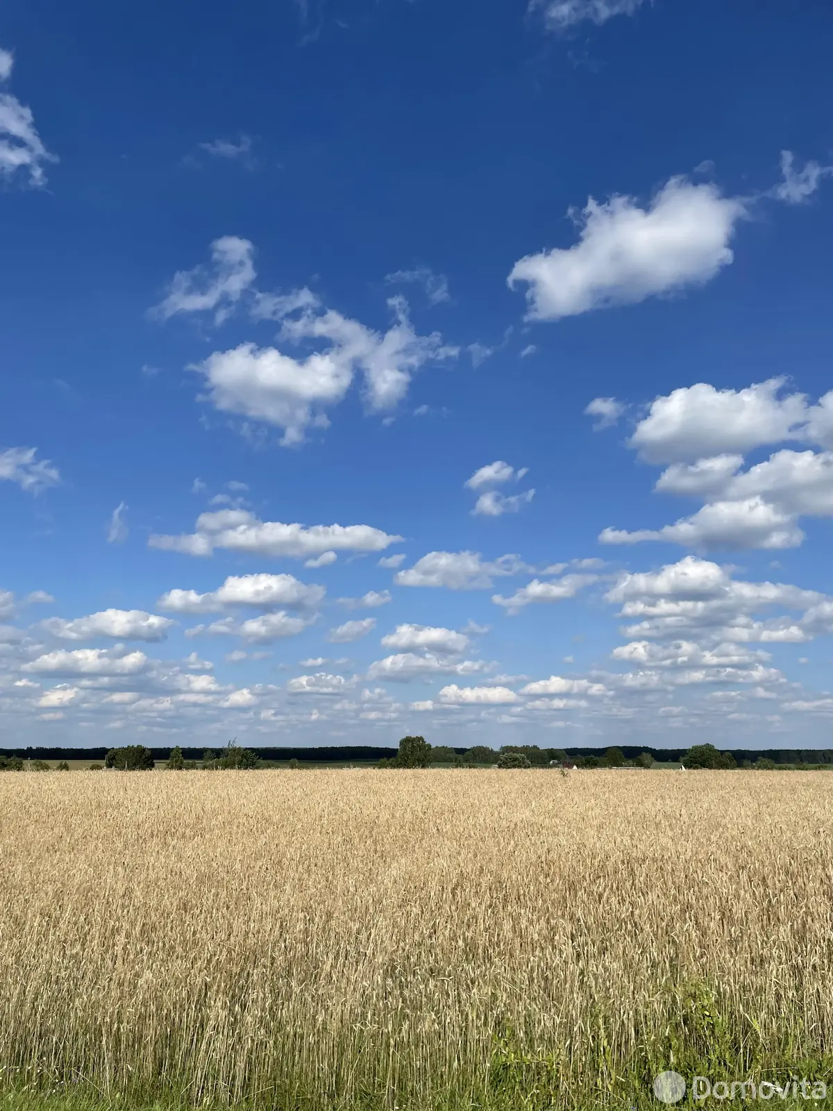 Купить земельный участок, 28 соток, Тесновая 2, Минская область, 11000USD, код 570810 - фото 16