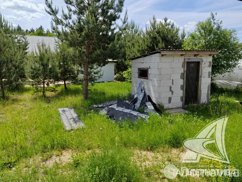 Продажа 1-этажной дачи в Росинка при Брестском ДЭУ-138 Брестская область, 216000BYN, код 185910 - фото 28