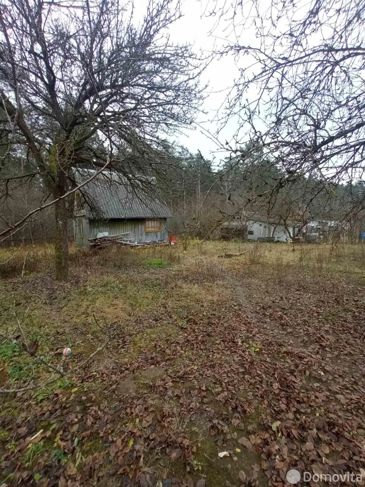 Продажа 1-этажной дачи в им.8 Марта Гродненская область, 8500USD, код 184548 - фото 15