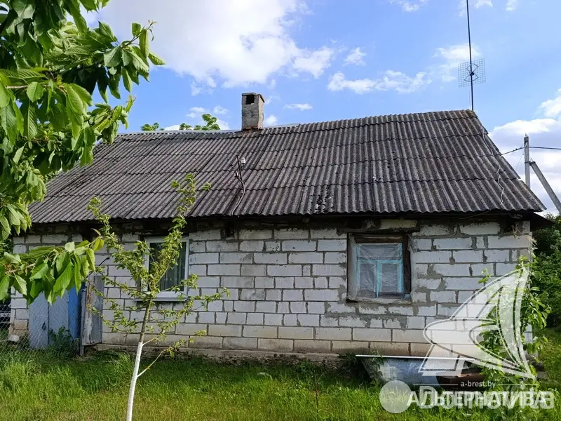 дом, Блювиничи, , стоимость продажи 44 240 р.