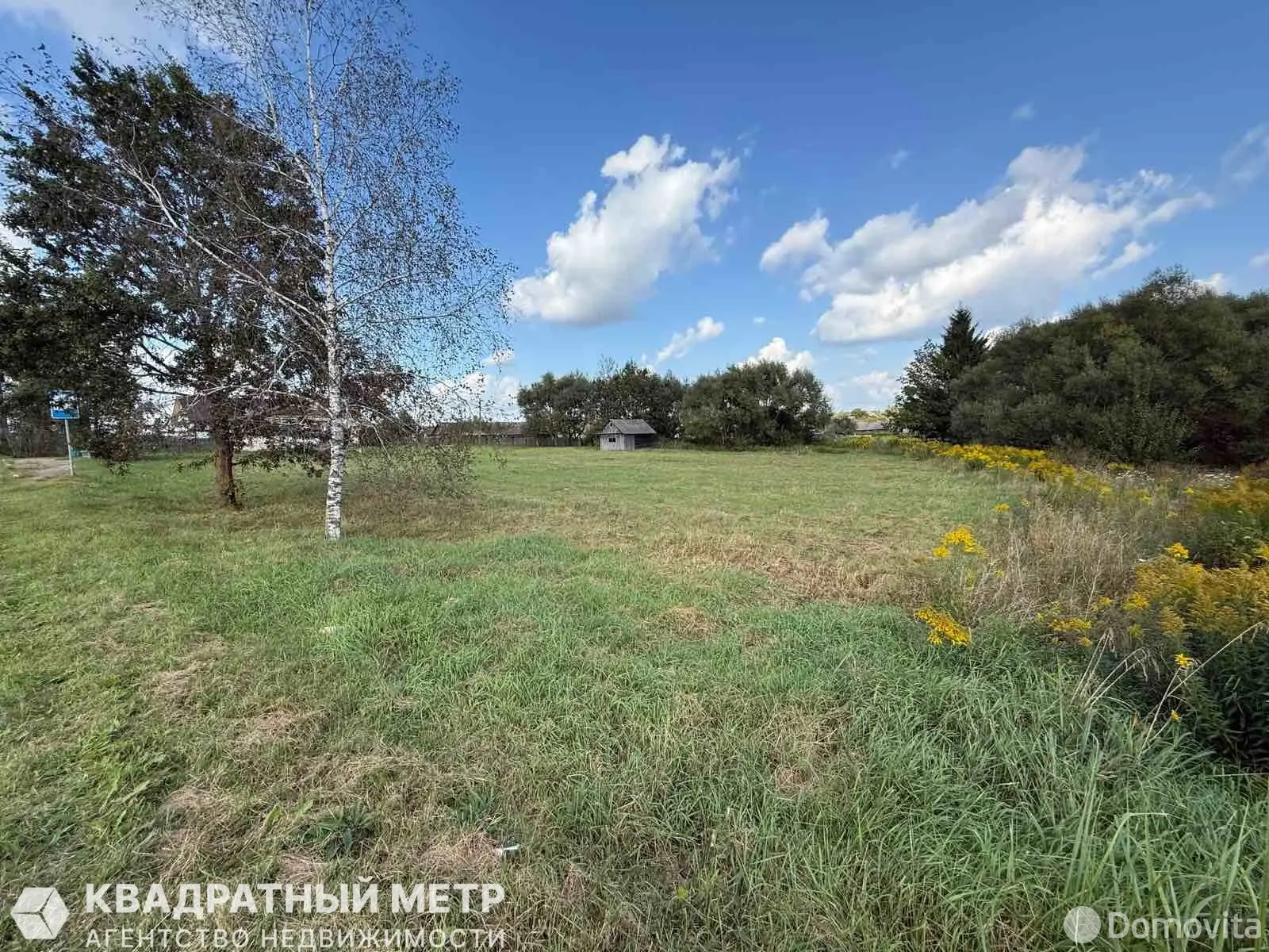 Купить земельный участок, 25 соток, Приселки, Минская область, 39900USD, код 571023 - фото 11