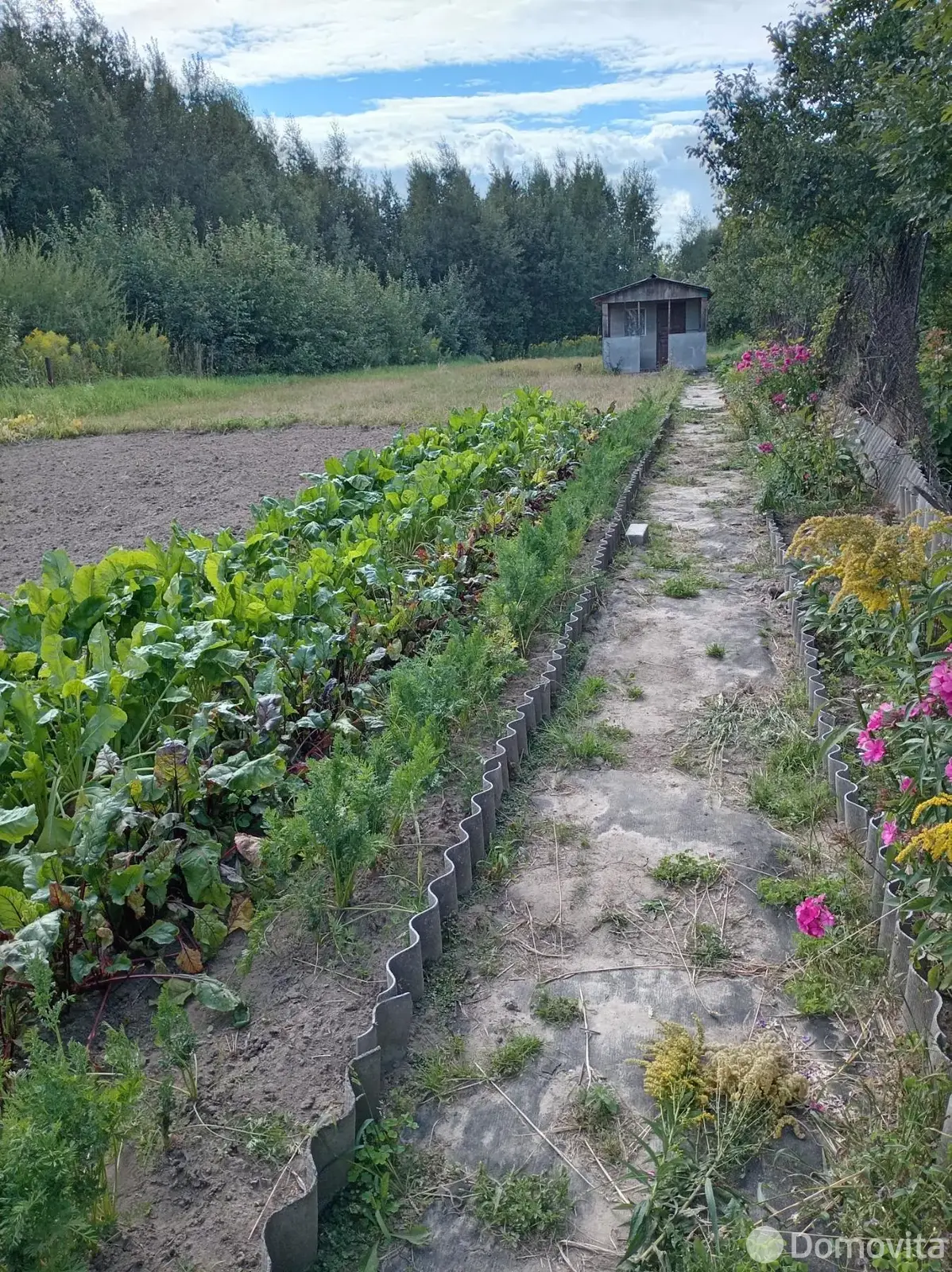 участок, Орша, ул. Липковская 