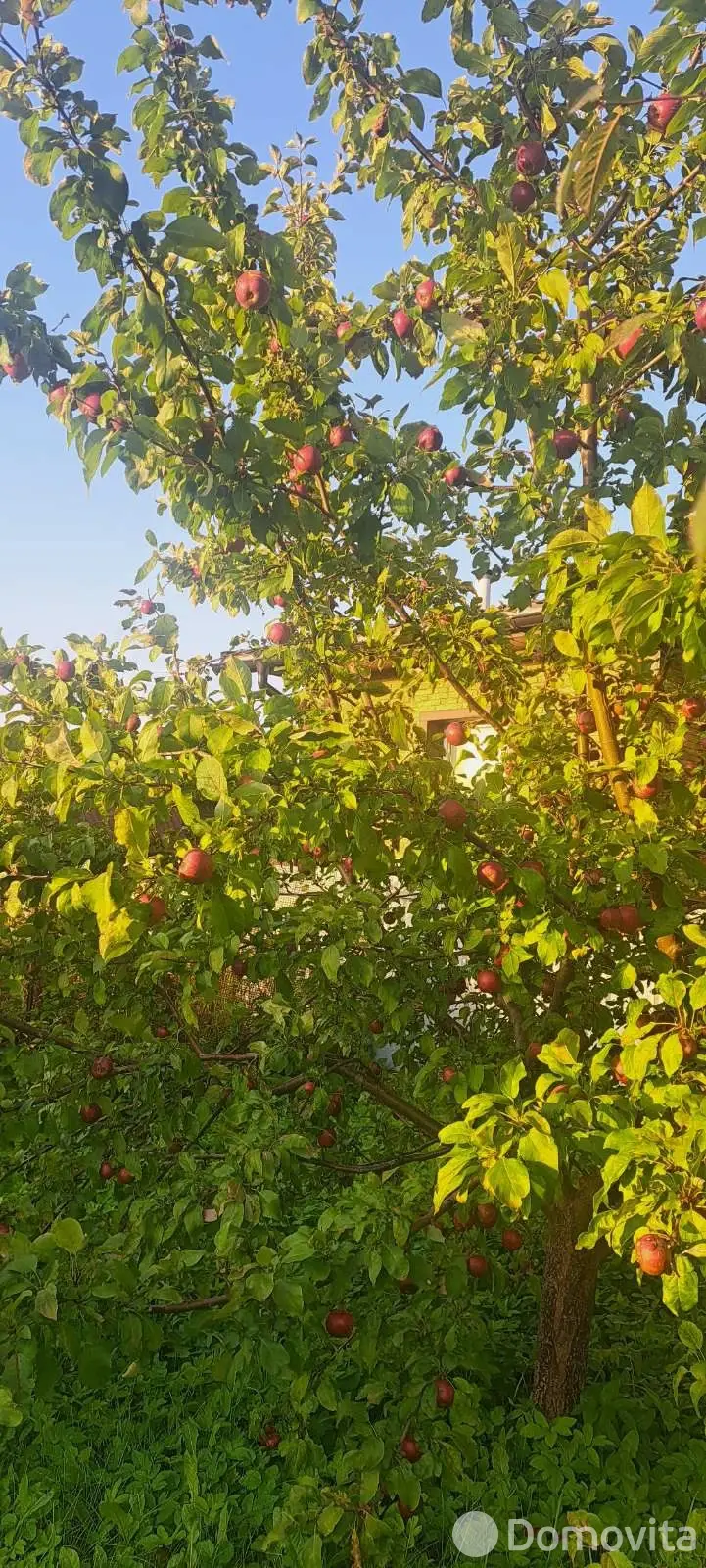 дом, Лепель, ул. Ульянка 