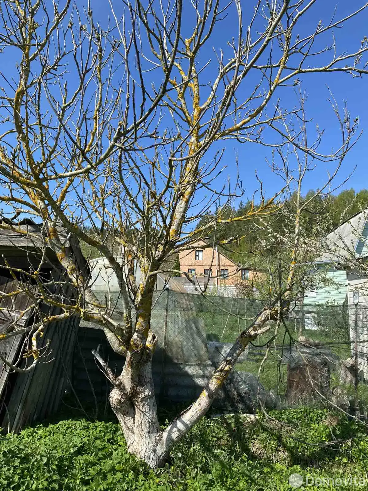 Купить земельный участок, 6 соток, ВЕРАС-1987, Минская область, 3200USD, код 570584 - фото 13