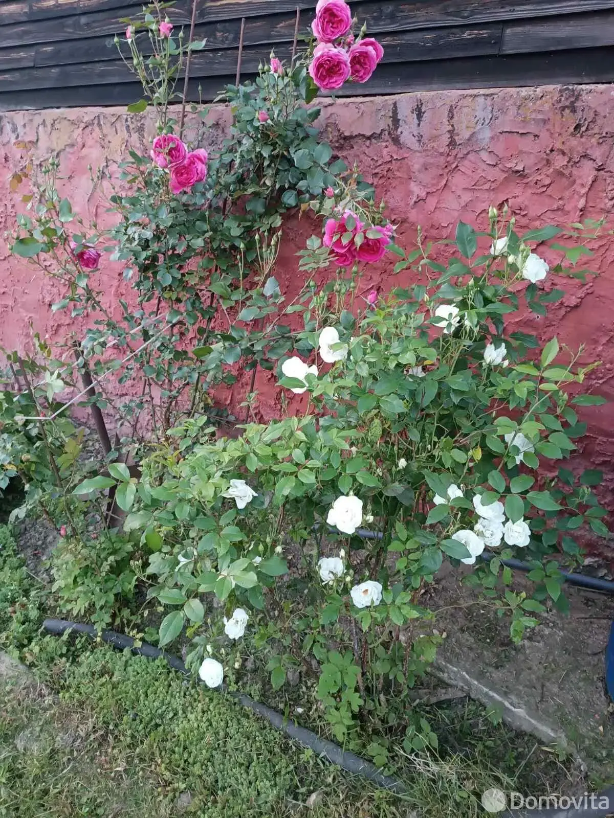 дом, Мочаны, ул. Жемчужная