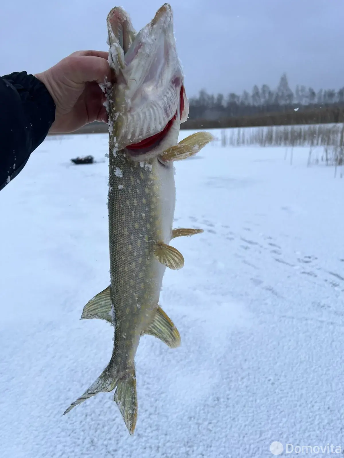 Купить 1-этажную дачу в Полочанах Минская область, 14000USD, код 185037 - фото 12