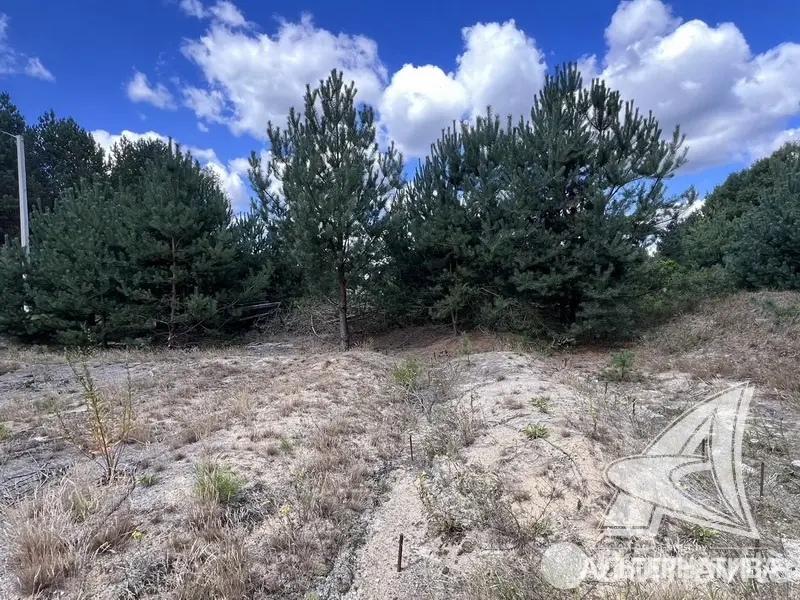 коттедж, Подлесье-Каменецкое, 