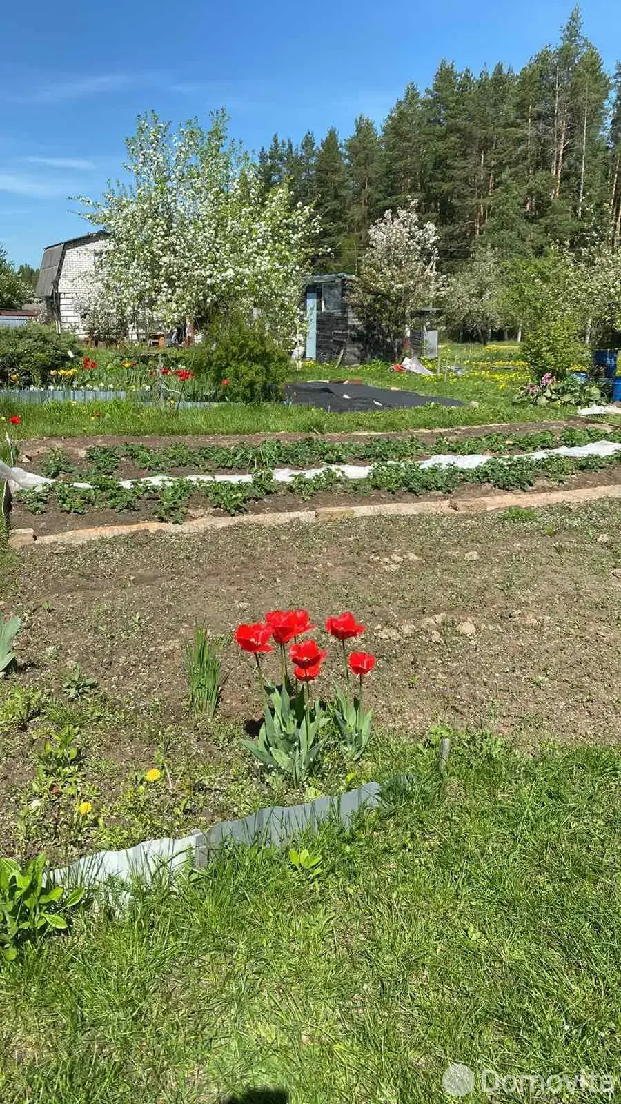 участок, Журавинка, , стоимость продажи 27 659 р.