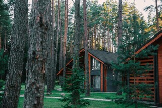 Идеальные выходные на 8 Марта: подборка домов с баней, бассейном и сибирским чаном под Минском