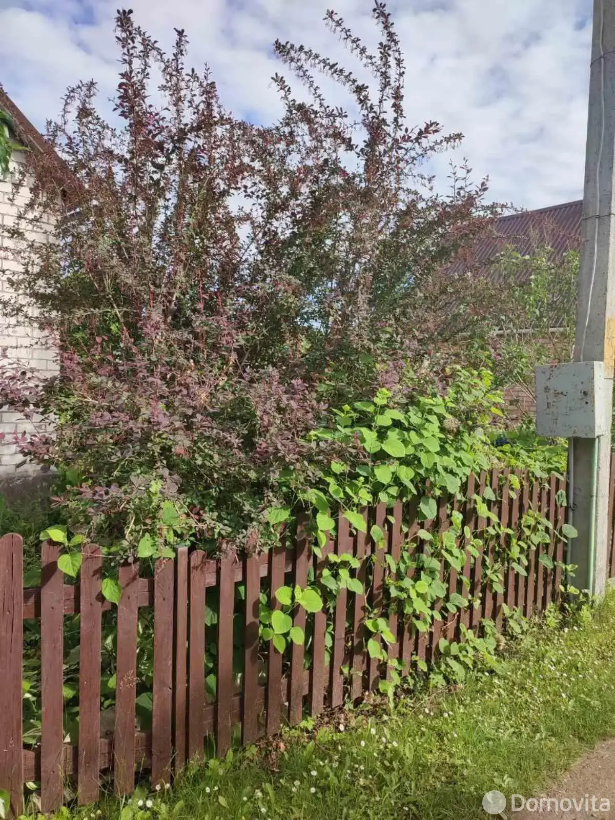 Продажа 1-этажной дачи в Сосны-Сад Минская область, 18000USD, код 184742 - фото 12