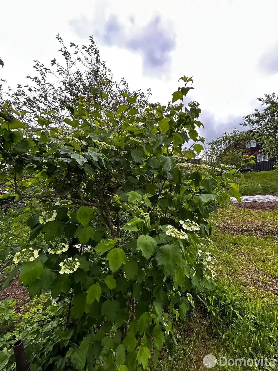 продажа дачи, Маяк, 