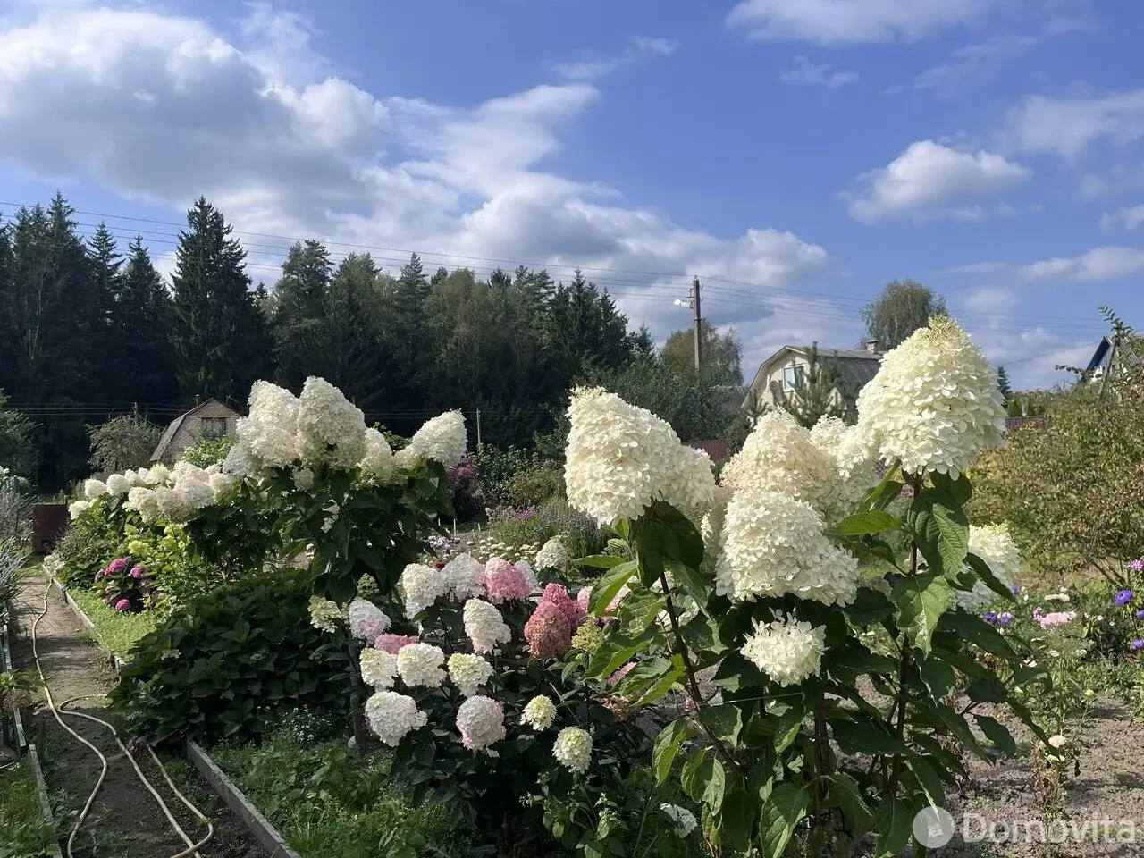 Купить 1-этажную дачу в Лесная поляна Минская область, 25000USD, код 185115 - фото 14