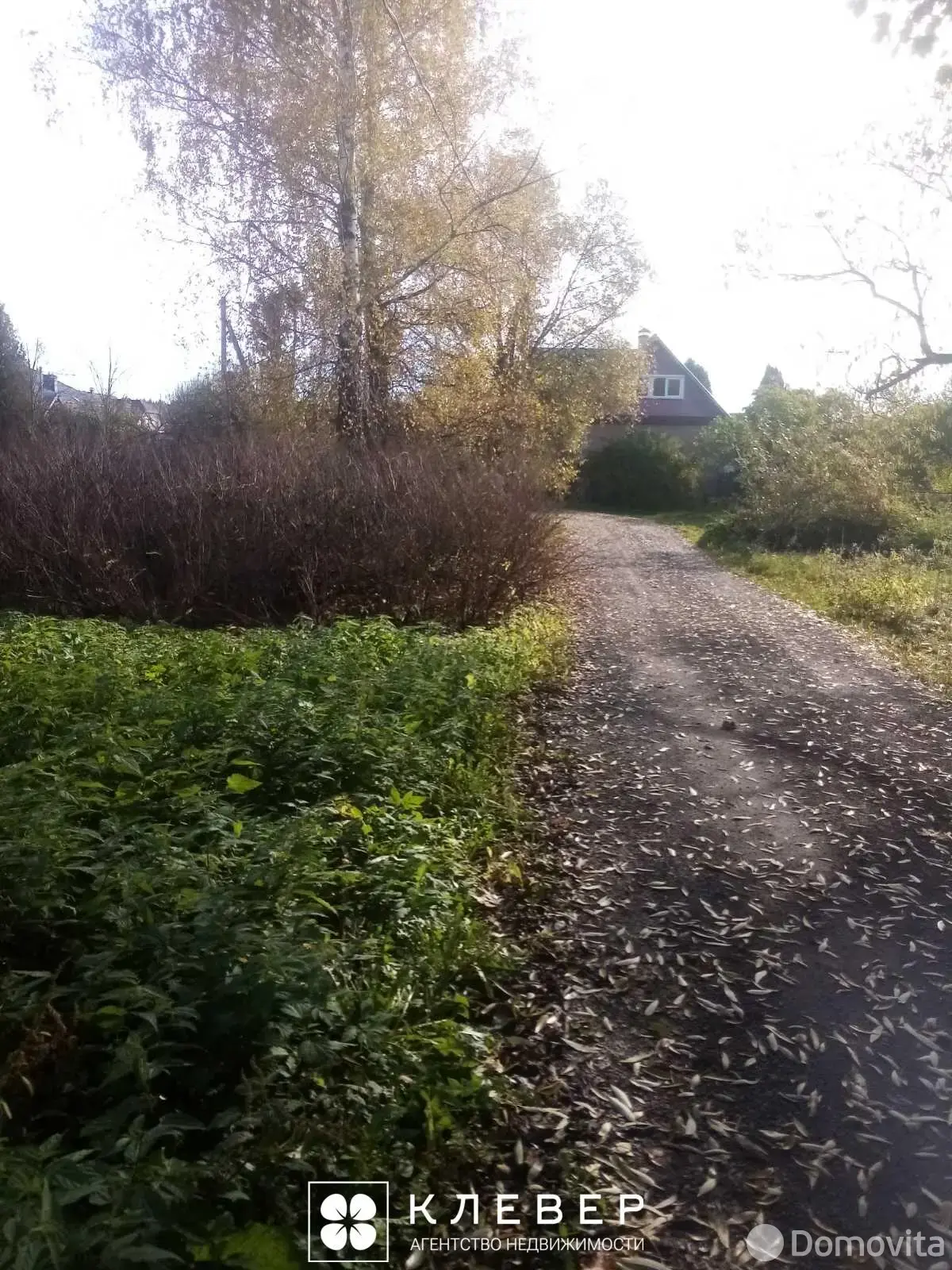 Цена продажи участка, Лебединец, 