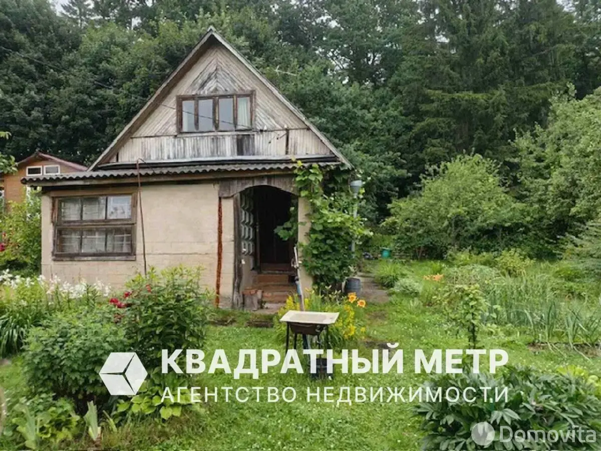 дача, Ель, 