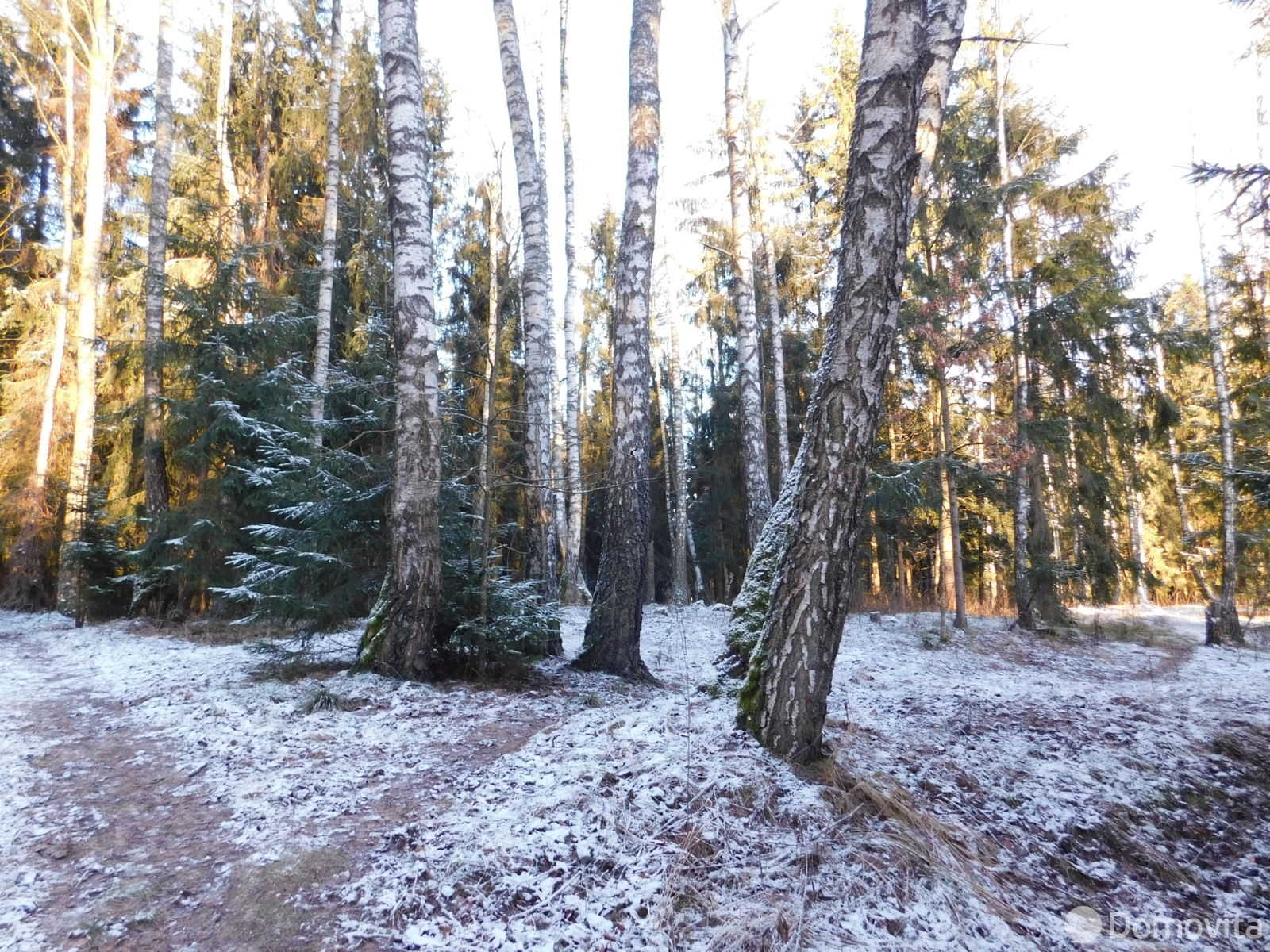 купить офис, Задомля,