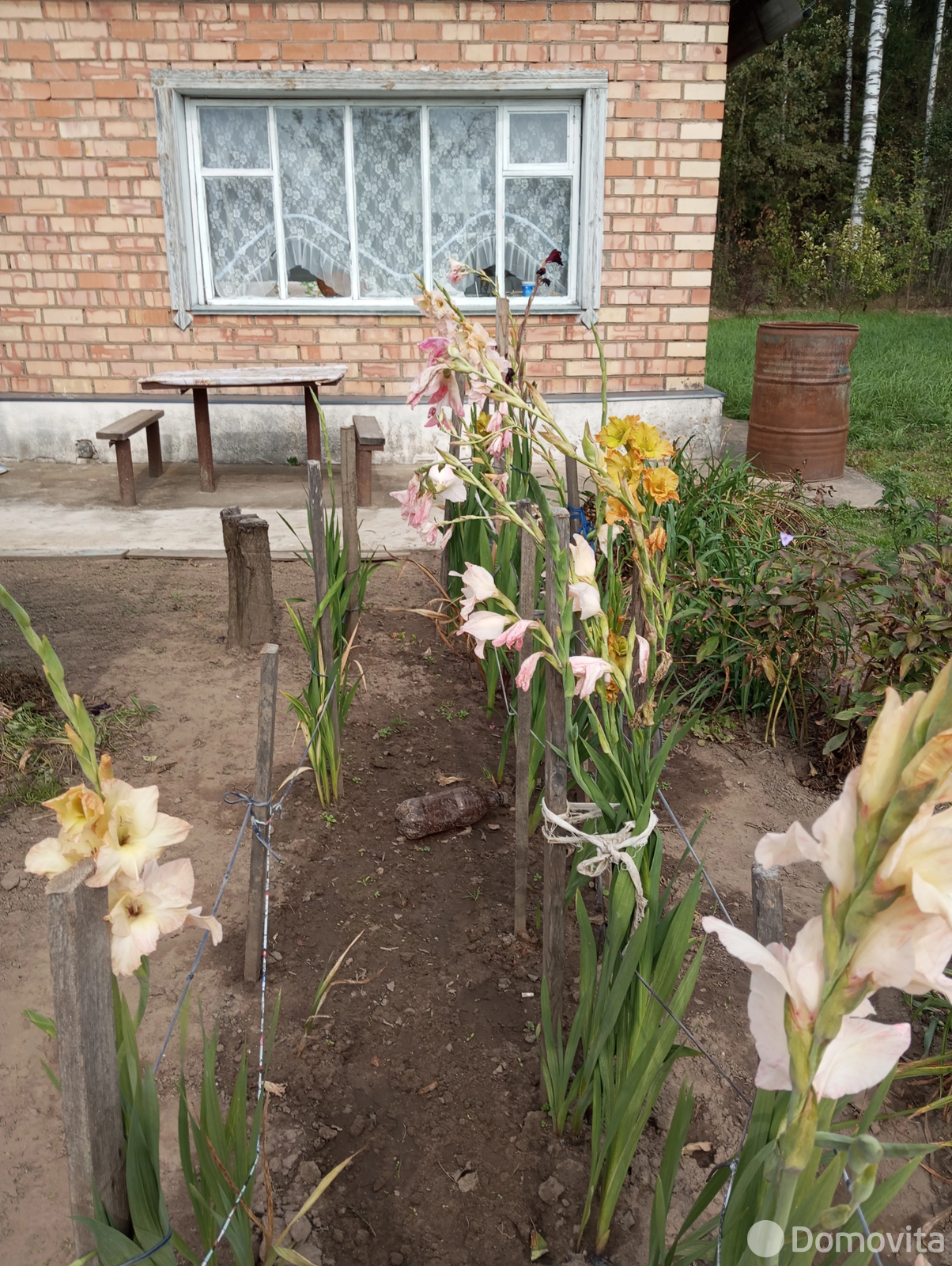 дача, Мичуринец и К, 