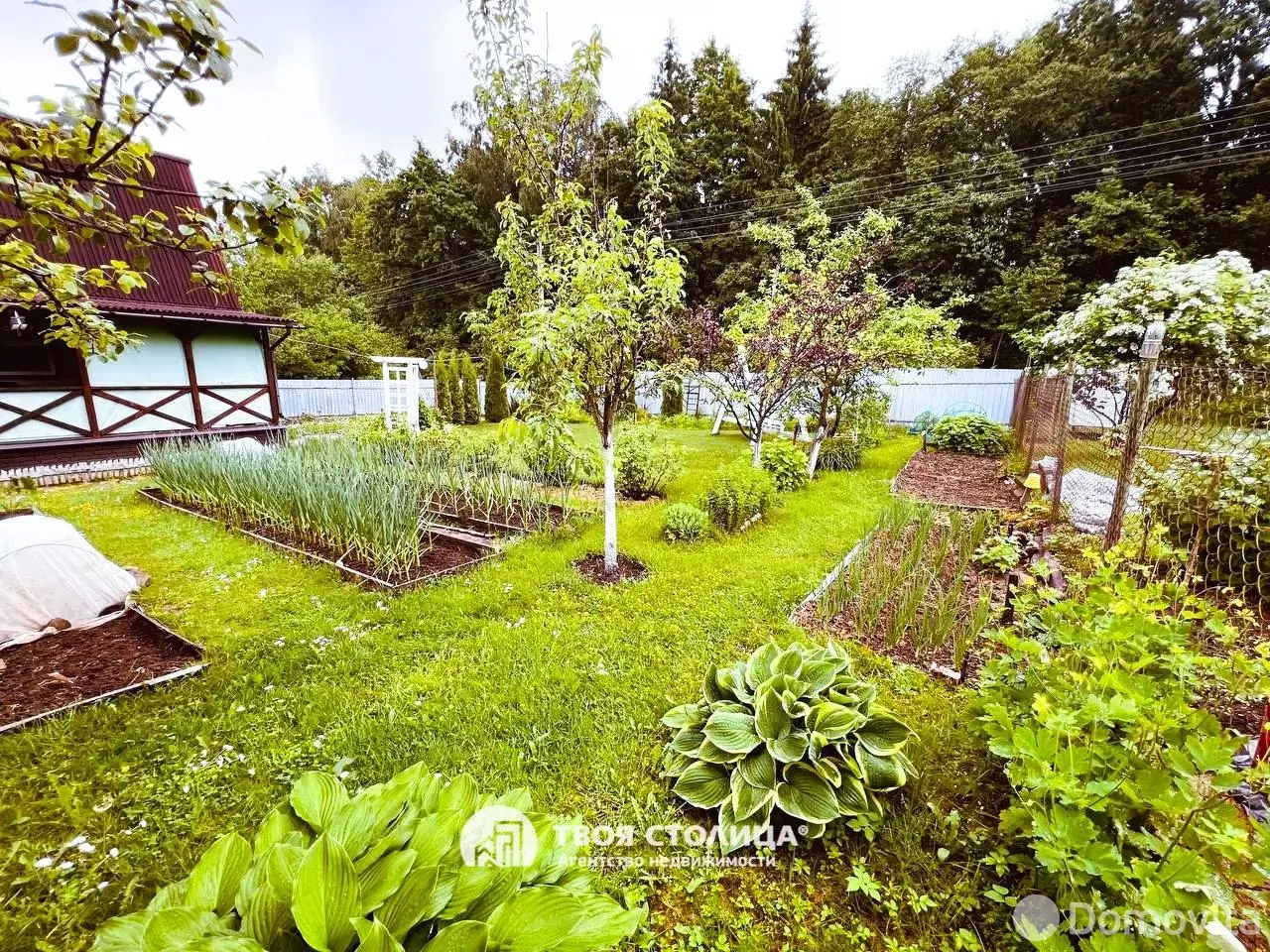 Купить 1-этажную дачу в Чаровница Минская область, 83013BYN, код 186098 - фото 28