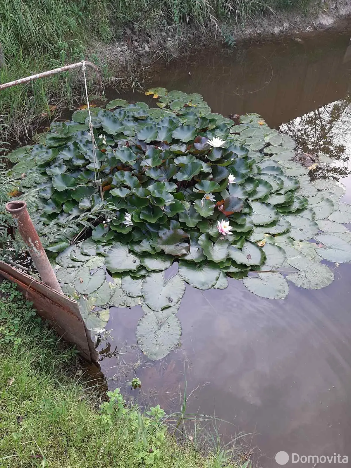 продажа дома, Придвинье, ул. Садовая