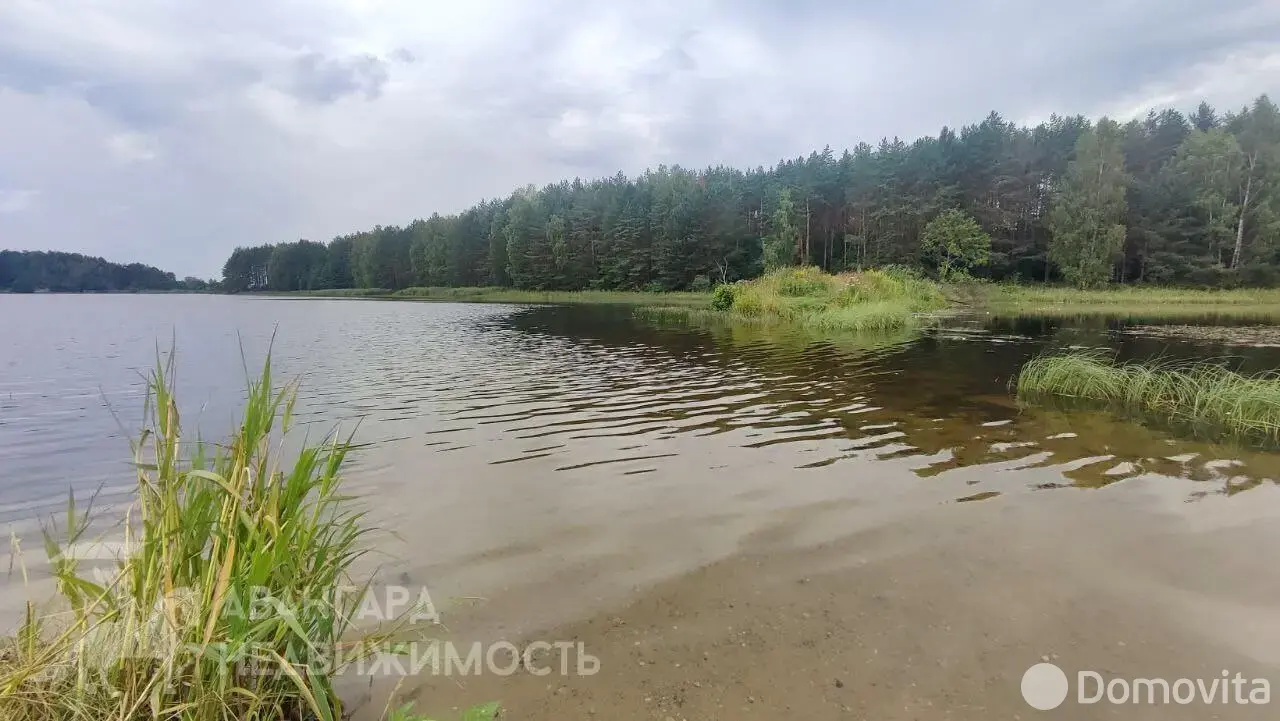 дача, Лесное-Белмедпрепараты, 