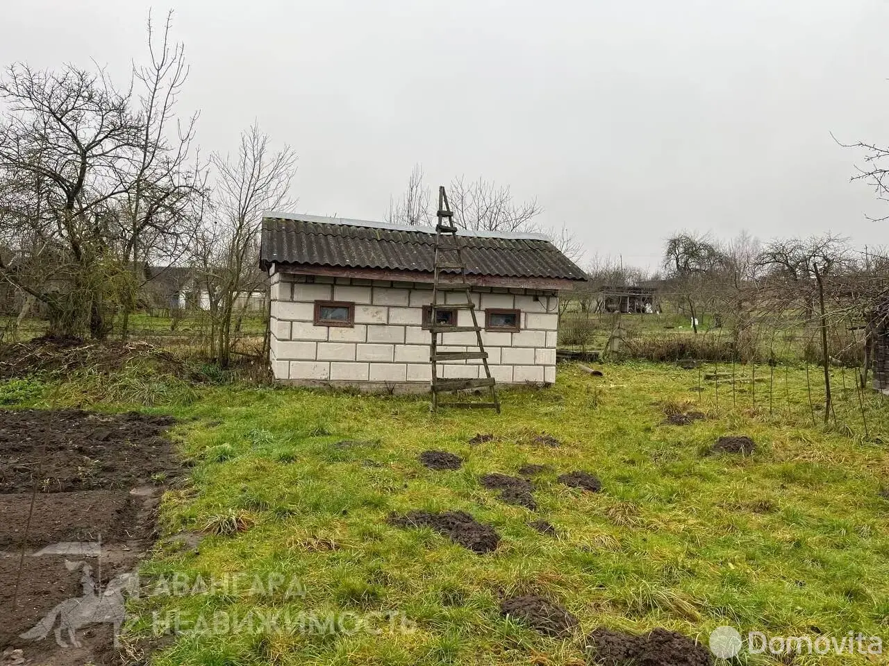 дом, Мозоли, 