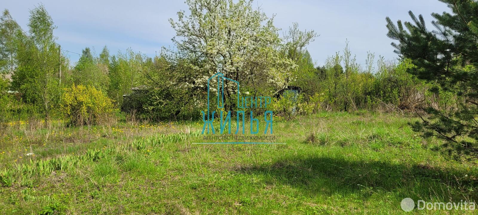 Купить земельный участок, 8.16 соток, Демидково, Гродненская область, 3700USD, код 568932 - фото 15